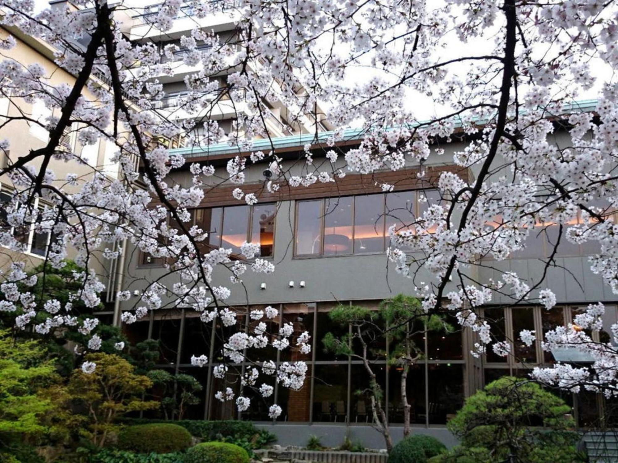 Suikoyen Hotel - Vacation Stay 46460V Kurume Exterior foto